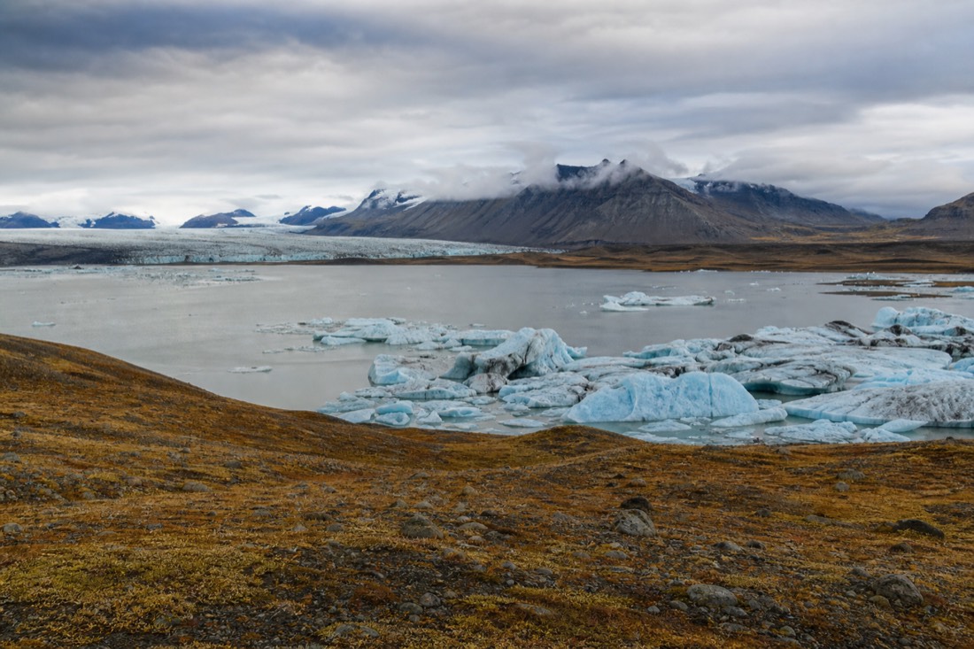 Autumn light over Jökulsárlón with muted golden tundra around the lagoon and icebergs on grey water